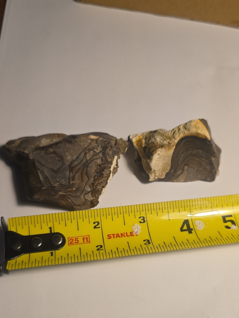 Old Stock Biggs picture jasper Rough